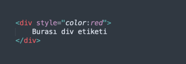 inline css tanimlama