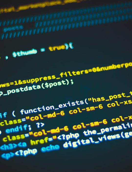 wordpress egitimi